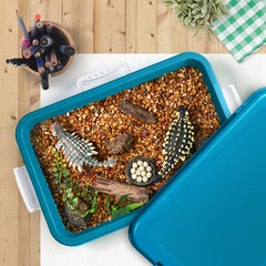 15 Inch Portable Sensory Bin Play Tray with Lid, Fill with Water, Sand, Beads and More